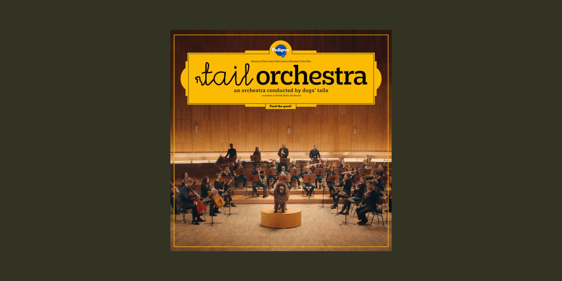狗尾當管弦樂團指揮棒？寶路 Pedigree Tail Orchestra 狗糧跨界奏出新意 | CopyThat! 專欄